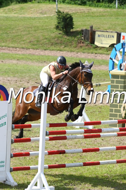 204M6345_Blue Sky_Spring Mx.JPG